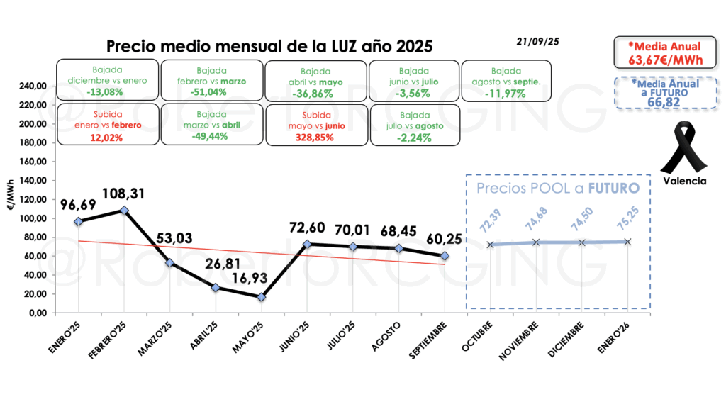 Precio anual 2025 y futuro